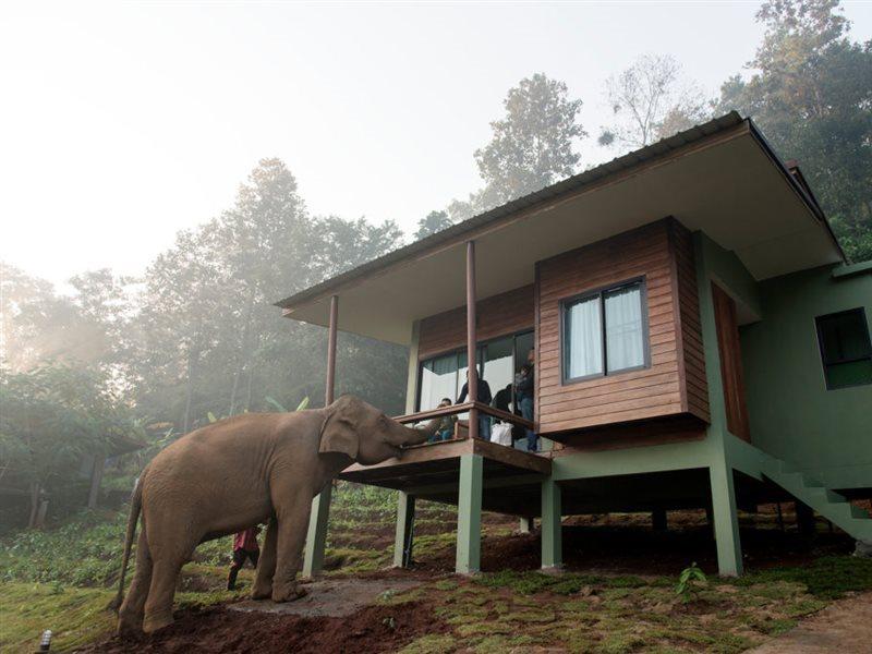 Chiang Mai Elephant Friends Bagian luar foto
